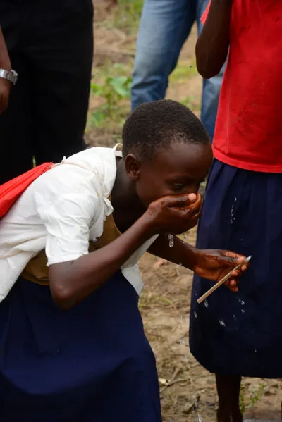 DSC_9404 (Large).JPG